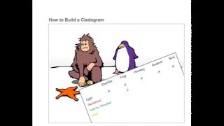 How to build a Cladogram 148 [upl. by Plume]