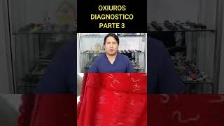 OXIUROS DIAGNOSTICO  PARTE 3 [upl. by Ailyt]