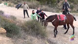 II Convivencia Caballos del Vino  Caravaca de la Cruz 23022013 [upl. by Eitra]