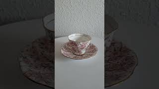 Vintage Rosina Bone China Made In England Floral Gold Trim Coffee Tea Pairetsysellr bonechina [upl. by Oralla]