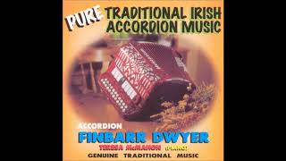 Finbarr Dwyer  Pure Traditional Music of Ireland  Irish Accordion [upl. by Darbee]