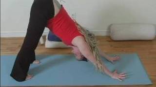 Yoga for Lower Back Pain  Half Dog Yoga Pose for Lower Back Pain [upl. by Oikim911]