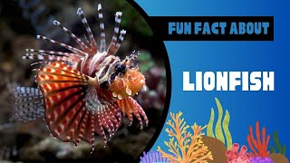 Exploring the Fascinating World of Lionfish Facts Behavior and Underwater Wonders [upl. by Leahci453]