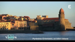 Le port de Collioure  Visites privées [upl. by Anazraf405]