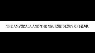 STAHLS  CH 9  PART 2  THE AMYGDALA AND NEUROBIOLOGY OF FEAR  psychiatrypsychopharmacology [upl. by Arracot]