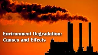 Environment Degradation Causes and Effects [upl. by Denman121]