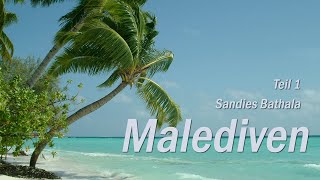 Malediven Teil 1 Sandies Bathala Maledives  Urlaub 2021 im Taucherparadies [upl. by Leasa434]