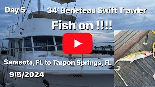 Day 5 Beneteau 35’ Swift Trawler Adventure  Crazy Fish on Sarasota to Tarpon Springs Flquot [upl. by Inerney]