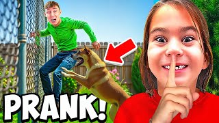 Mein HUND hat MARVIN GEBISSEN 😱 Prank ging Schief [upl. by Rambort]