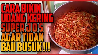 Cara bikin udang kering super jos anti gagal untuk pakan ikan channa kesayangan [upl. by Aeila846]