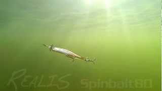 DUOs Lures in Motion 5  Realis Spinbait 80 [upl. by Notsnarc]