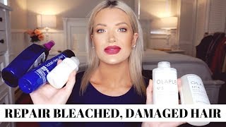 HOW TO REPAIR BLEACHED DAMAGED HAIR amp KEEP THE BRASSINESS OUT  Isabel Galvin [upl. by Ryder]