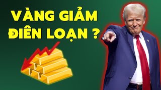 Giá Vàng Vì Sao Giảm Điên Loạn Nguyên Nhân Từ Đâu [upl. by Rieth]