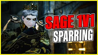 BDO  Beginner Sage Vs Warrior Sparring Practice [upl. by Ahsinac215]