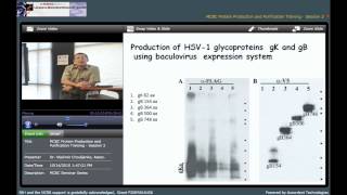 Protein Expression Using a BactoBac TOPO Expression System [upl. by Sila]