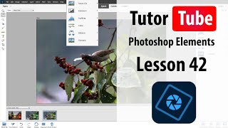 Photoshop Elements Tutorial  Lesson 42  Guided Partial Sketch [upl. by Lumpkin288]