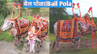 बैल पोळाBail Pola [upl. by Massimiliano496]