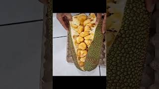 Unboxing Artocarpus integer Cempedak [upl. by Lalat619]