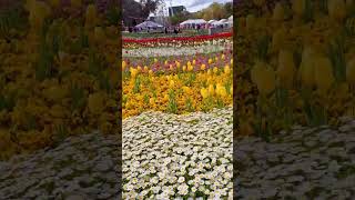 Canberra floriade [upl. by Eisenhart]