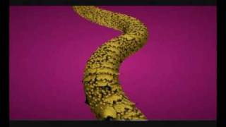 Keratin Complex Smoothing Therapy  Animation Distributed by Nazih Group مجموعة نزيه [upl. by Tik]