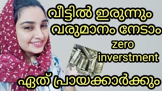 Magnessa business plan malayalamonline business opertunity malayalamonline business no investment [upl. by Kalie]