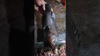 Warsaw Grouper Fish Cutting Skills  Hyporthodus Fish  Cutting And Fish Market shorts [upl. by Ellehcyt]