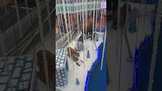 Mushrif Mall abudhabi fypyoutube emirates fyp fypage [upl. by Barbe]