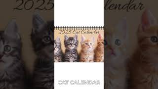 Cat Desktop Calendar Cat Desk Calendar 2025 Desk Calendar Kitten Calendar Cat Calendar Kitty [upl. by Boorer]