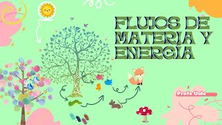 Clase 16 Flujos de materia y energía [upl. by Sonahpets]