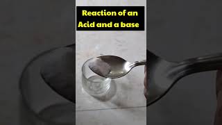 Acids bases and salts Class 7 shorts ncert education activity [upl. by Neelrac]