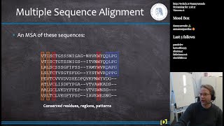 Multiple Sequence Alignment MSA in R Bioinformatics S11E2 [upl. by Gannes]