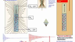 5NMRSpinRelaxationFieldInhomogeneitiesWMV [upl. by Koeninger412]