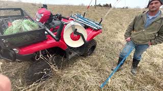 Gregs daily strip grazing technique makes stockpiled forage grazing easy [upl. by Medor]