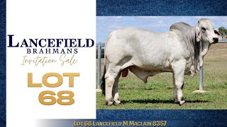 Lot 68 Lancefield M Maclain 8357 [upl. by Aloise]