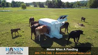 Hanen Automatic Livestock Feeder Testimonials [upl. by Kast]