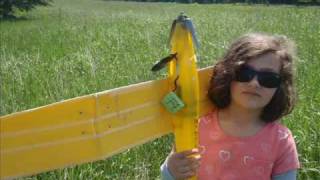 RCDOX 2010 ACCIPITER BADIUS learning to fly RC plane [upl. by Ajroj]