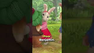 Benjamin Bunny needs a map 🗺📍🐰 PeterRabbit benjaminbunny Shorts [upl. by Niala]