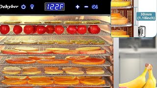 Dehyber Upgraded Dehydrators for Food and Jerky67 Recipes8 Stainless Steel Trays Dryer Machine [upl. by Eitsym]