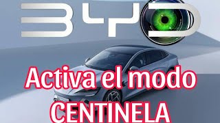 Activa el modo CENTINELA y la función DASHCAM en tu BYD gratis byd bydking centinela dashcam [upl. by Aziul]