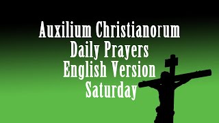 Auxilium ChristianorumSaturdayFather Ripperger Recommended Prayers English Prayers [upl. by Esiuqcaj71]