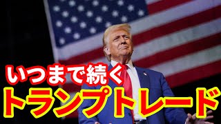 【トランプ相場】米国長期金利大幅上昇！トランプ相場はいつまで続くのか！ [upl. by Carrew]