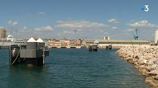 Le port de Sète inaugure son nouveau parc à bestiaux [upl. by Aicenet171]