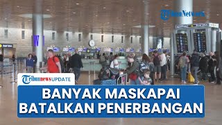 Warga Israel Semakin Terisolasi Banyak Maskapai Kini Tangguhkan Penerbangan dari dan ke Tel Aviv [upl. by Doss669]