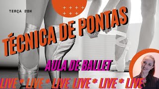 Técnica de Pontas  Aula de Ballet com a professora Renata Sanches [upl. by Xxam24]