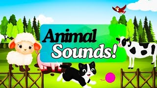 Learn Animal Sounds  Animal Recognition Song For Toddlers [upl. by Edda368]