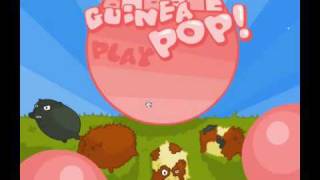 Bubble Guinea Pop Trailer [upl. by Yank]