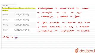 To reduce 1 CO2 molecules in C3 cycle  assimilatory power needed is [upl. by Eneryc]