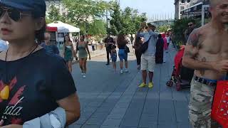 Day 8  NotreDame de Montreal Basilica  Montreal Download [upl. by Evets984]