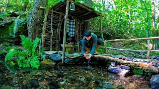 7 Days SURVIVAL Camping In RAIN Forest THUNDER Building Warm BUSHCRAFT SHELTER Primitive BRIDGE [upl. by Nodnarg]