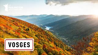 Les Vosges  Cimes et Vallées Verdoyantes  Les 100 lieux quil faut voir  Documentaire complet MG [upl. by Atnes817]